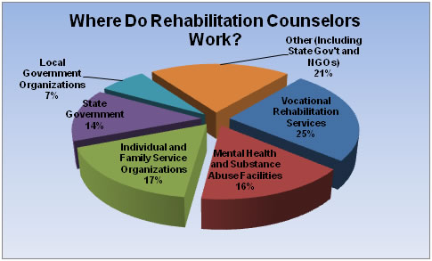 What can I do with a Masters in HR  Rehabilitation Counseling?  The 
